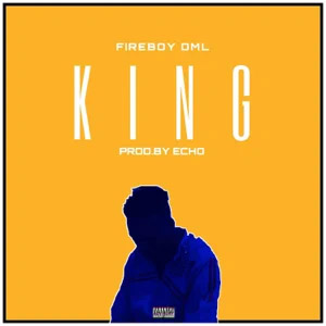 Disco King de Fireboy DML
