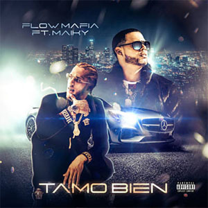 Disco Tamo Bien de Flow Mafia