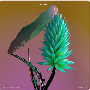 Disco Say It (Remixes) de Flume
