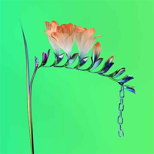 Disco Skin Companion EP I de Flume