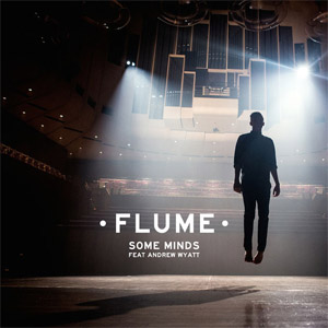 Disco Some Minds de Flume