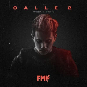 Disco Calle 2 de FMK