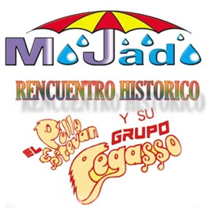 Disco Reencuentro Histórico de Grupo Mojado