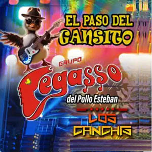 Disco El Paso del Gansito de Grupo Pegasso