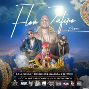 Disco La Esencia de Guariboa