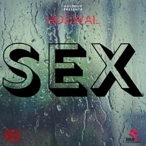 Disco Sex de Hozwal