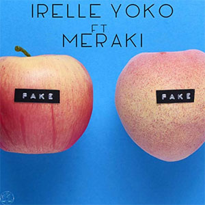 Disco Fake de Irelle Yoko