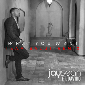 Disco What You Want (Team Salut Remix) de Jay Sean