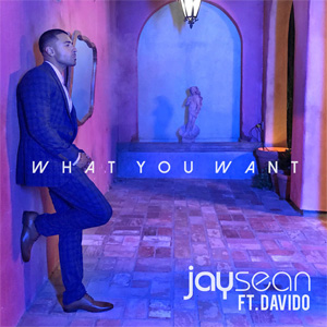 Disco What You Want de Jay Sean