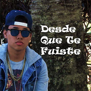 Disco Desde Que Te Fuiste de Joel Joendy