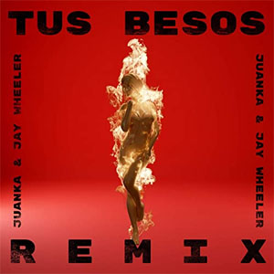 Disco Tus Besos (Remix) de Juanka El Problematik