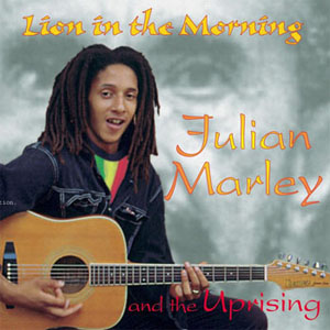 Disco Lion In The Morning de Julián Marley