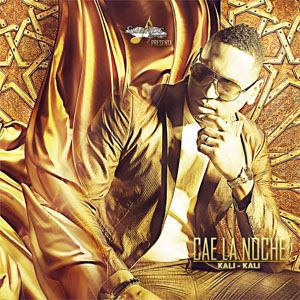 Disco Cae la Noche de Kalimete