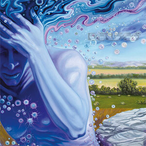 Disco The Absence Of Presence de Kansas