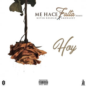 Disco Me Hace Falta (Remix) de Kevin Roldán