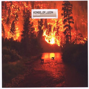 Disco Notion  de Kings of Leon