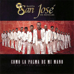 Disco Como La Palma De Mi Mano de La Adictiva 