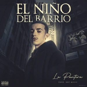 Disco El Niño Del Barrio de La Pantera