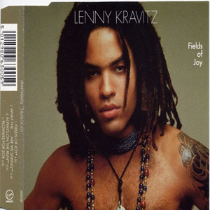 Disco Fields Of Joy de Lenny Kravitz