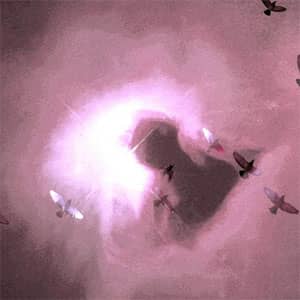 Disco Atomic Days de Little Richard