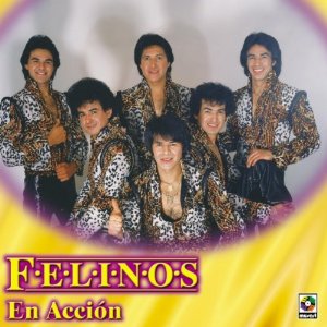 Disco Felinos En Acción de Los Felinos