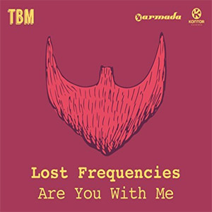 Disco Are You With Me de Lost Frequencies