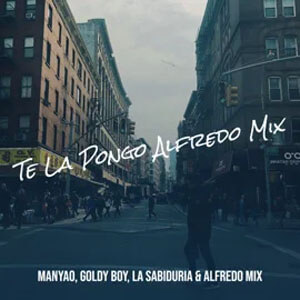 Disco Te La Pongo (2021 Alfredo Mix) de Manyao