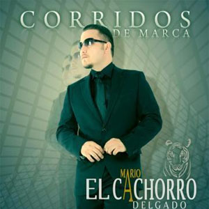 Disco 16 Corridos de Marca de Mario El Cachorro Delgado