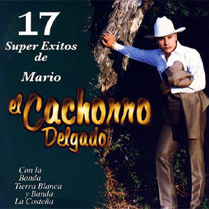 Disco 17 Súper Éxitos De Mario de Mario El Cachorro Delgado