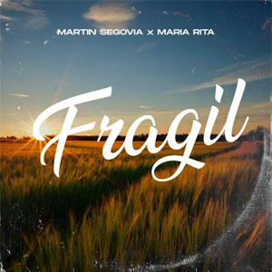 Disco Frágil de Martín Segovia