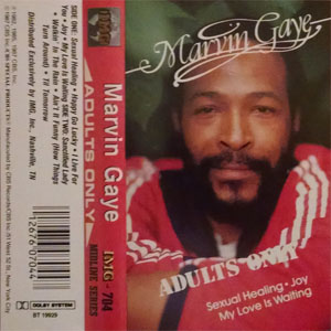 Disco Adults Only de Marvin Gaye