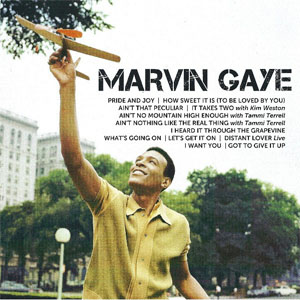 Disco Icon de Marvin Gaye