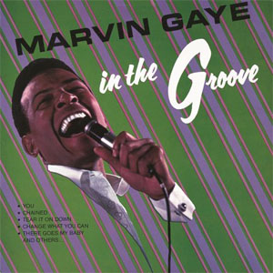 Disco In the Groove de Marvin Gaye