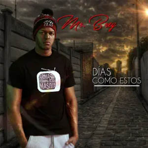 Disco Días Como Estos de Mr Brey