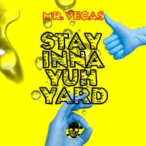 Disco Stay Inna Yuh Yard de Mr. Vegas