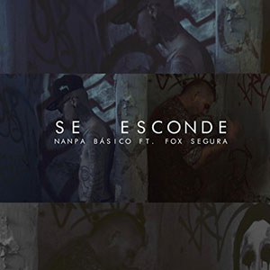 Disco Se Esconde de Nanpa Básico