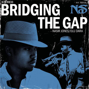 Disco Bridging The Gap de Nas
