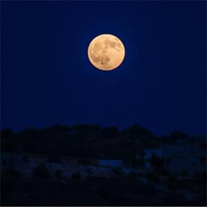 Disco Midnight Blues de Nav