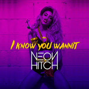 Disco I Know You Wannit de Neon Hitch
