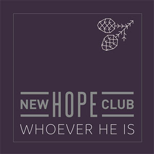 Disco Whoever He Is de New Hope Club