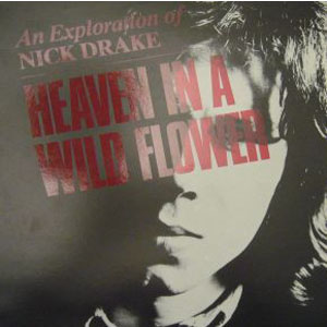 Disco Heaven In A Wild Flower - An Exploration Of Nick Drake de Nick Drake