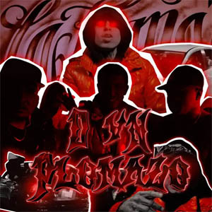 Disco D Vn Plomazo de 26is