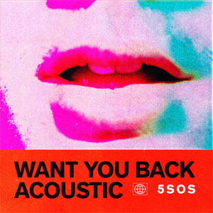 Disco Want You Back (Acoustic) de 5 Seconds of Summer