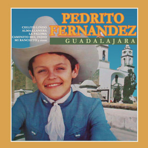 Disco Guadalajara de Pedro Fernández