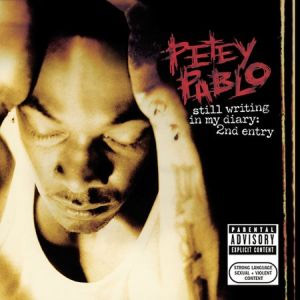 Disco Still Writing in My Diary de Petey Pablo