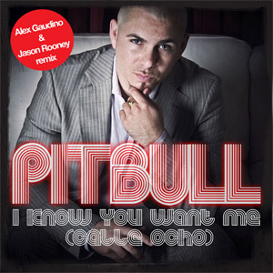 Disco I Know You Want Me de Pitbull