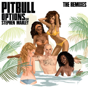 Disco Options (The Remixes 1) de Pitbull