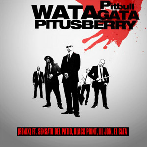 Disco Watagatapitusberry de Pitbull