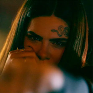 Disco Niveles de Ptazeta