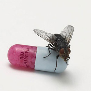 Disco I´m With You de Red Hot Chili Peppers